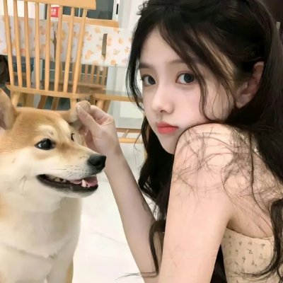 绿头苍蝇